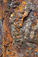 Patina 52